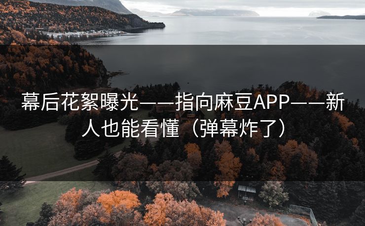 幕后花絮曝光——指向麻豆APP——新人也能看懂（弹幕炸了）