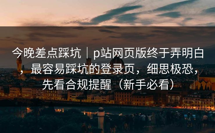 今晚差点踩坑｜p站网页版终于弄明白，最容易踩坑的登录页，细思极恐，先看合规提醒（新手必看）