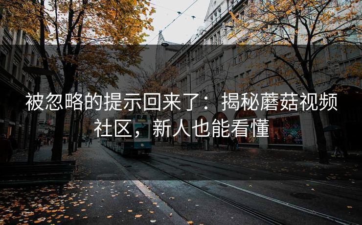 被忽略的提示回来了：揭秘蘑菇视频社区，新人也能看懂