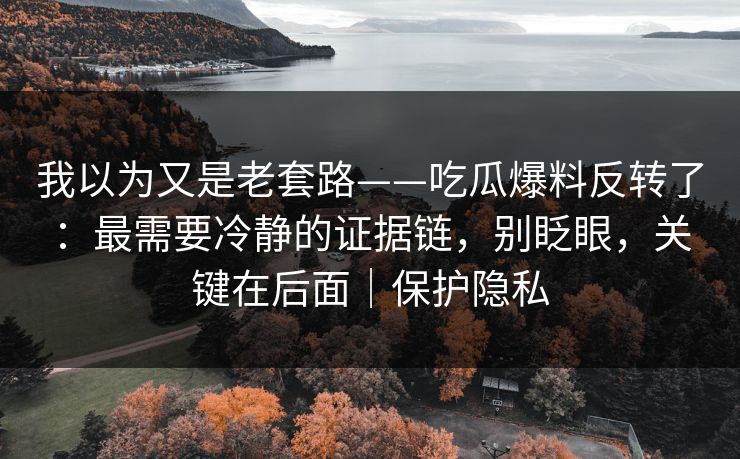 我以为又是老套路——吃瓜爆料反转了：最需要冷静的证据链，别眨眼，关键在后面｜保护隐私