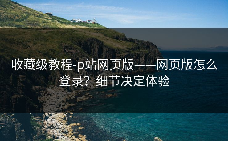 收藏级教程-p站网页版——网页版怎么登录？细节决定体验