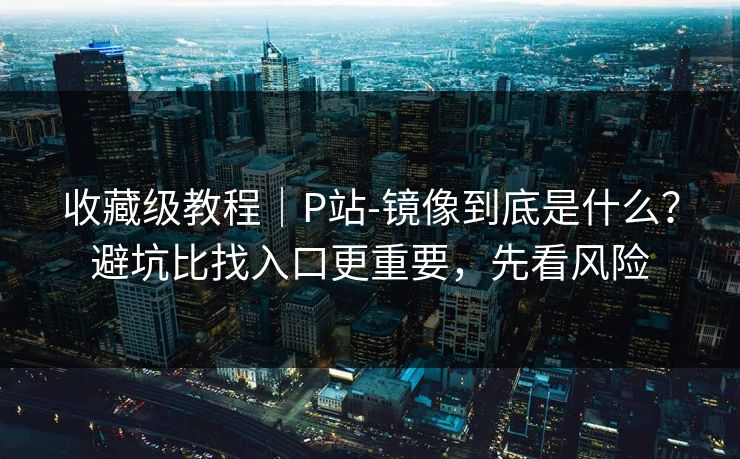 收藏级教程｜P站-镜像到底是什么？避坑比找入口更重要，先看风险