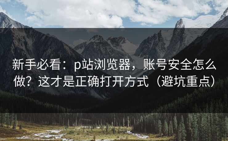 新手必看：p站浏览器，账号安全怎么做？这才是正确打开方式（避坑重点）