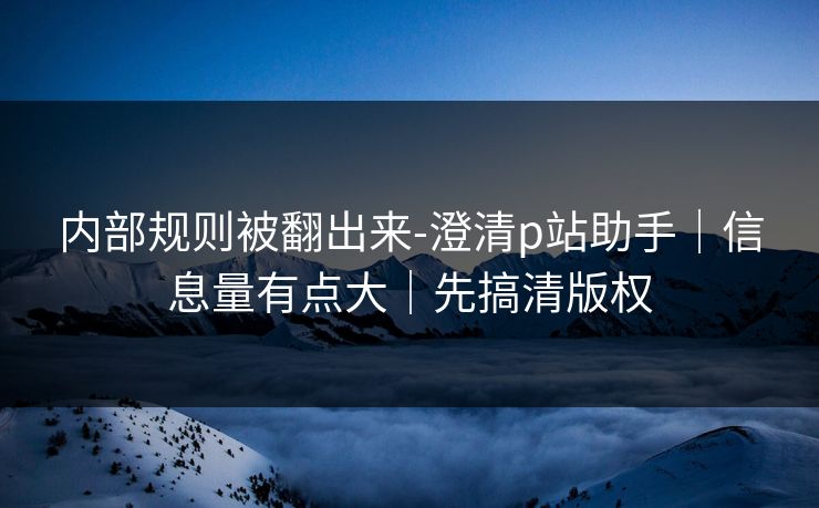 内部规则被翻出来-澄清p站助手｜信息量有点大｜先搞清版权
