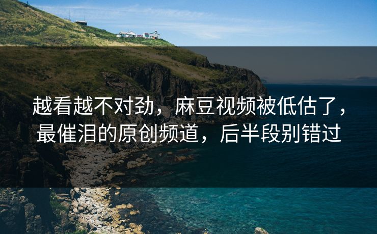 越看越不对劲，麻豆视频被低估了，最催泪的原创频道，后半段别错过