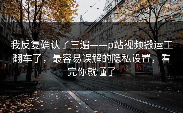 我反复确认了三遍——p站视频搬运工翻车了，最容易误解的隐私设置，看完你就懂了
