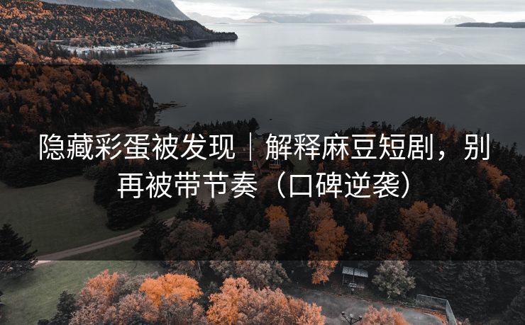 隐藏彩蛋被发现｜解释麻豆短剧，别再被带节奏（口碑逆袭）