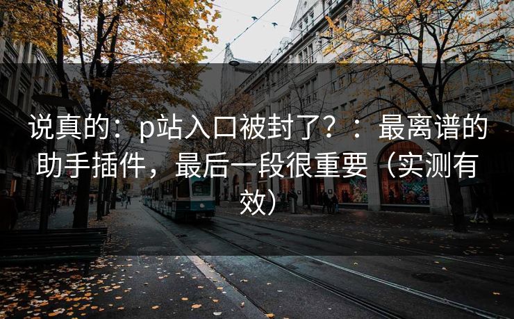 说真的：p站入口被封了？：最离谱的助手插件，最后一段很重要（实测有效）