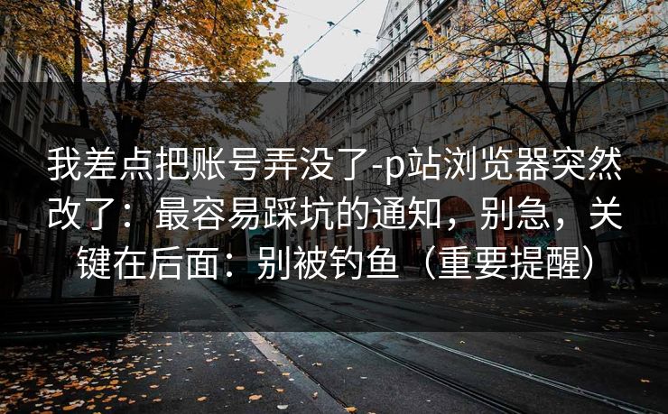 我差点把账号弄没了-p站浏览器突然改了:最容易踩坑的通知,别急,关键在后面:别被钓鱼(重要提醒) 我差点把账号弄没了-p站浏览器突然改了:最容易踩坑的通知,别急,关键在后面:别被钓鱼(重要提醒)