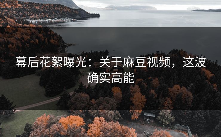 幕后花絮曝光：关于麻豆视频，这波确实高能
