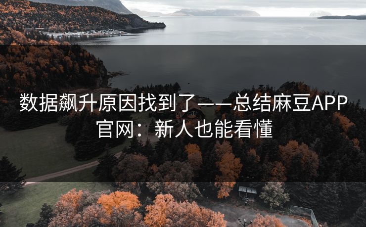 数据飙升原因找到了——总结麻豆APP官网:新人也能看懂 数据飙升原因找到了——总结麻豆APP官网:新人也能看懂